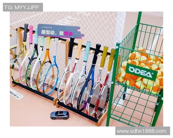 网球新手攻略:技术入门指南 网球新手攻略:技术入门指南