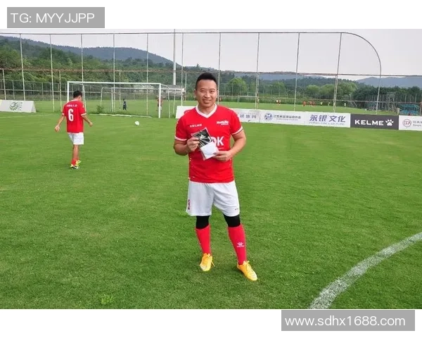 南京足球队在挑战赛中的战术表现分析与评估