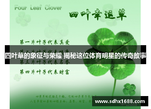 四叶草的象征与荣耀 揭秘这位体育明星的传奇故事