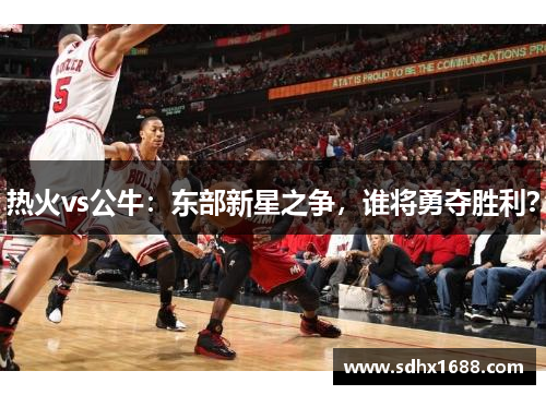 热火vs公牛：东部新星之争，谁将勇夺胜利？