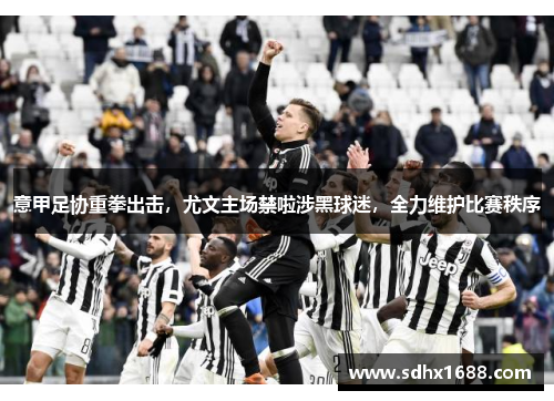 意甲足协重拳出击，尤文主场禁啦涉黑球迷，全力维护比赛秩序