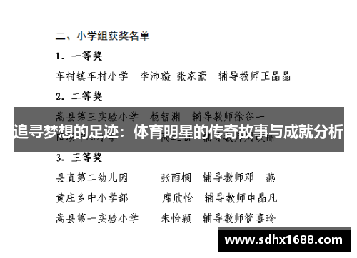 追寻梦想的足迹：体育明星的传奇故事与成就分析