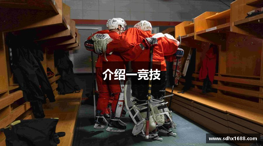 介绍一竞技